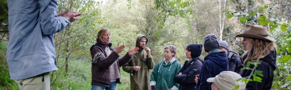 kahikatea-farm-food-forest-tour