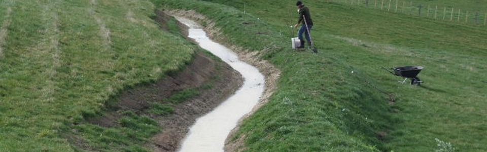 kahikatea-farm-planting-food-forest-2008