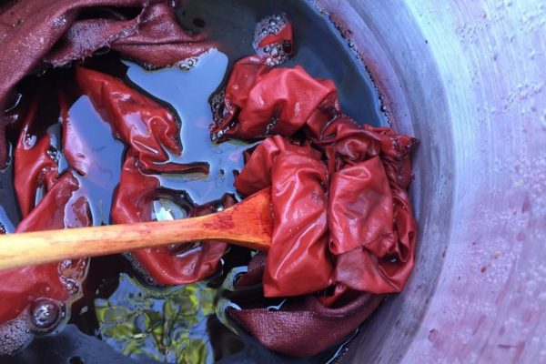 madder-bath-local-color-dyes-kahikatea-farm