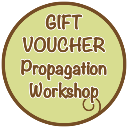 gift-voucher-kahikatea-farm-propagation-workshop
