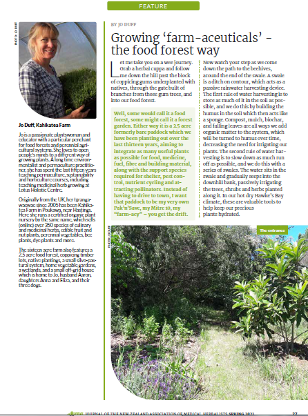 avena-article-kahikatea-farm-food-forest-2021