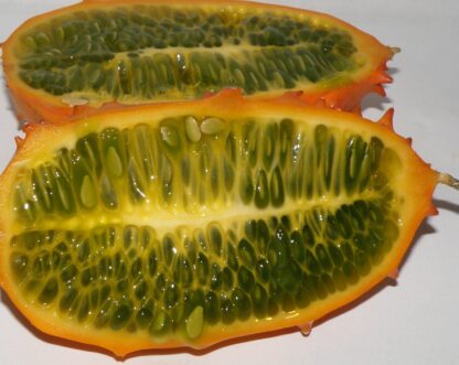 kiwano-horned-jelly-melon-fruit