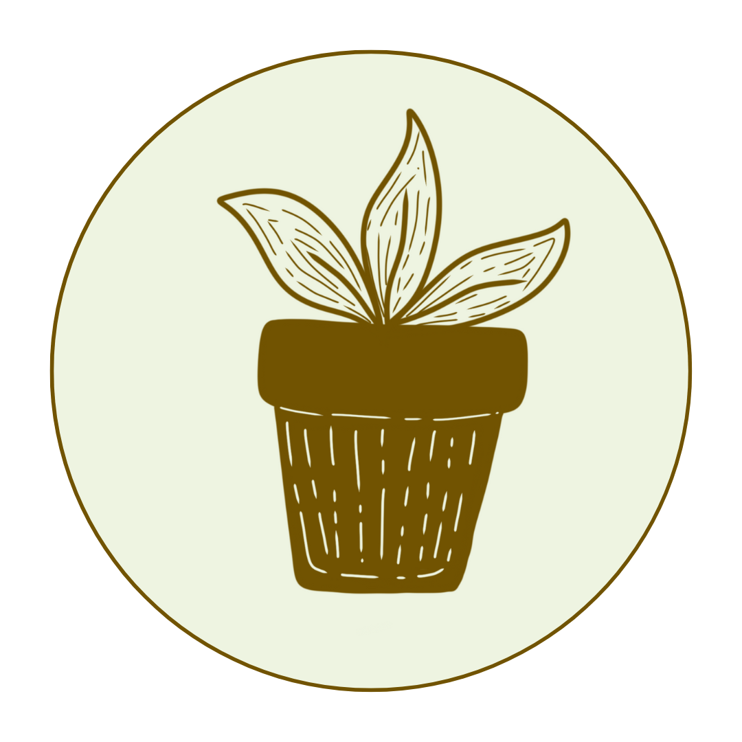 potted-plant-placeholder-kahikatea-farm-nursery