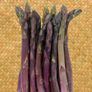 asparagus-precocce-argenteuil-kahikatea-farm