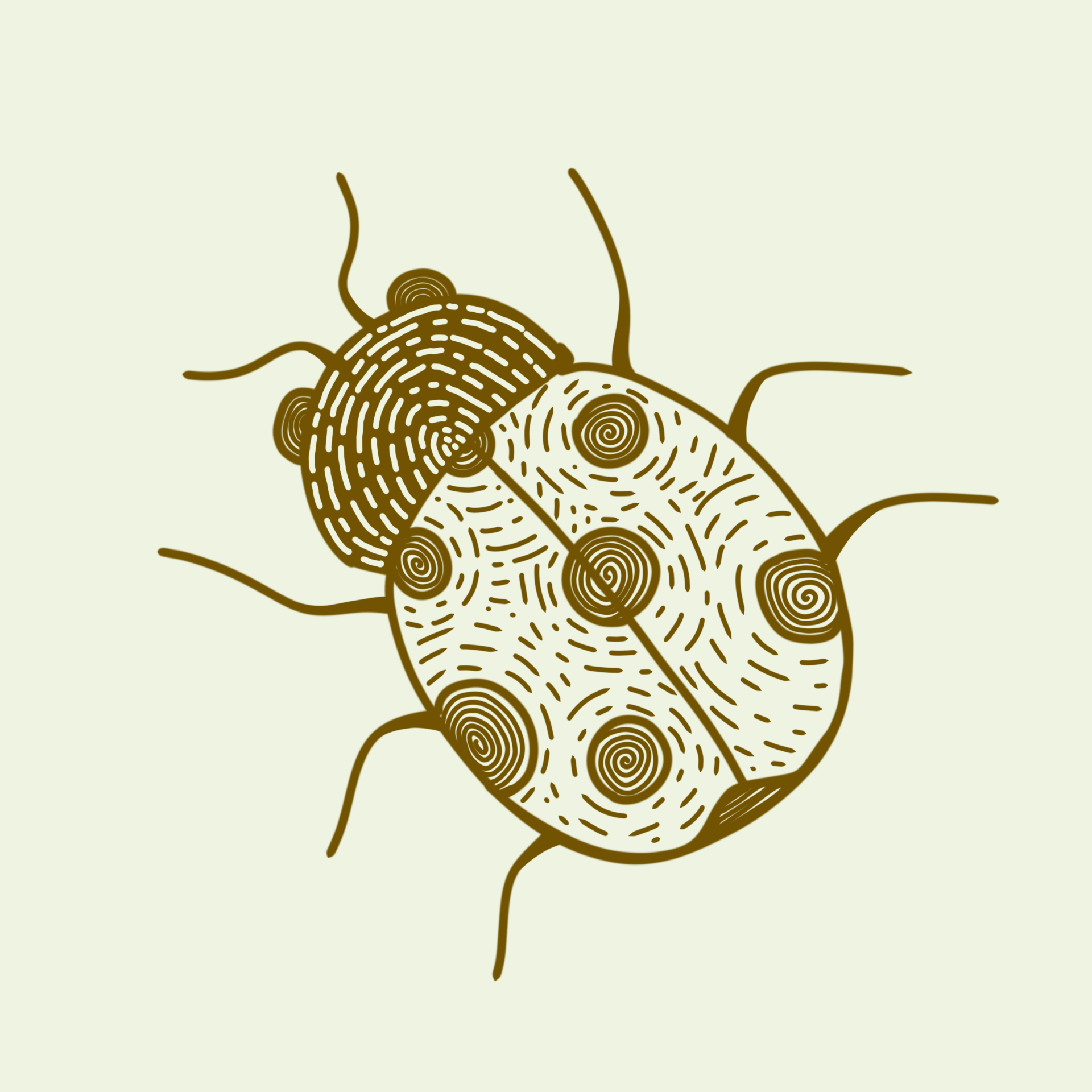 beneficial-insect-plants-kahikatea-farm-nursery