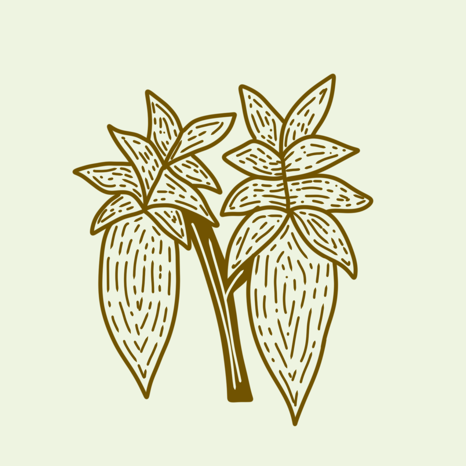 biomass-plants-kahikatea-farm-nursery