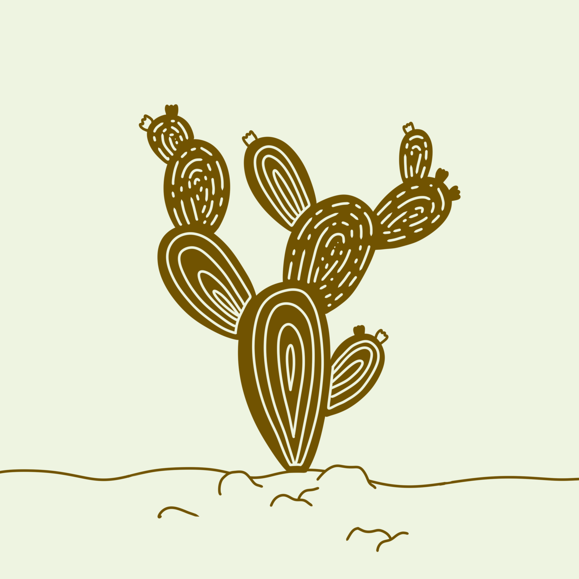 drought-tolerant-plants-kahikatea-farm-nursery