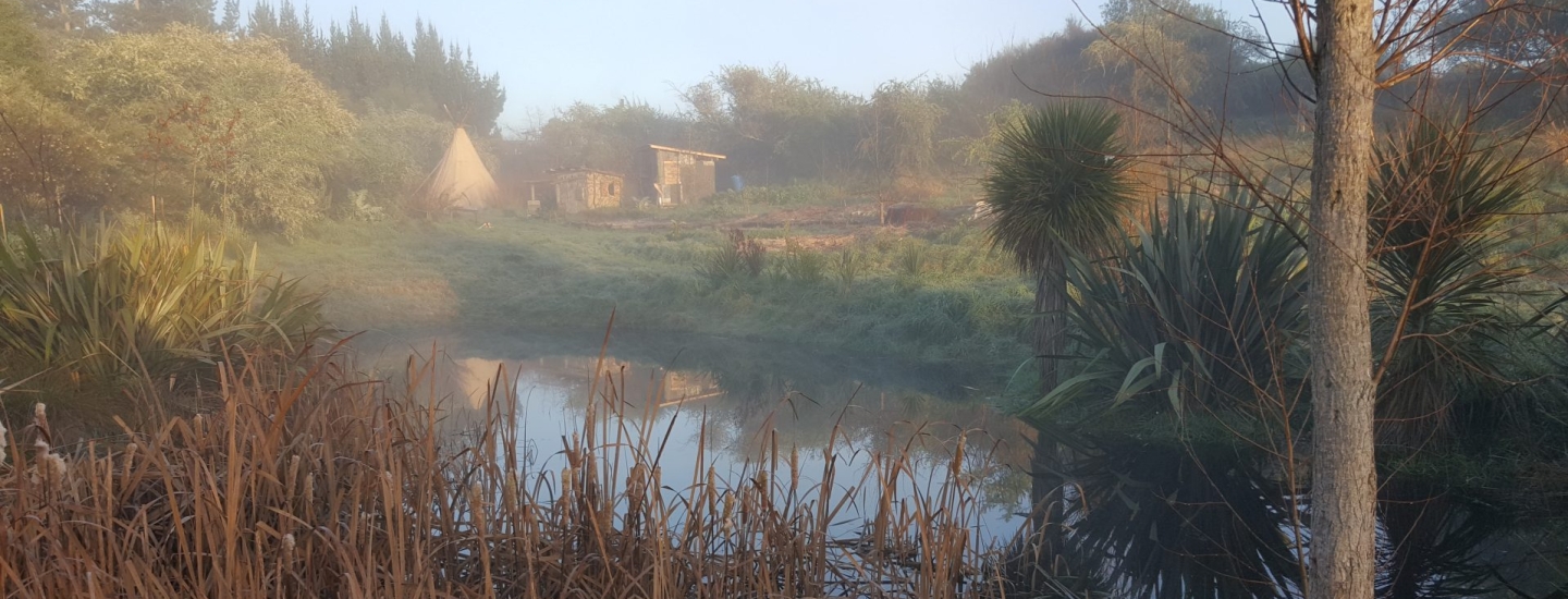 kahikatea-farm-food-forest-pond
