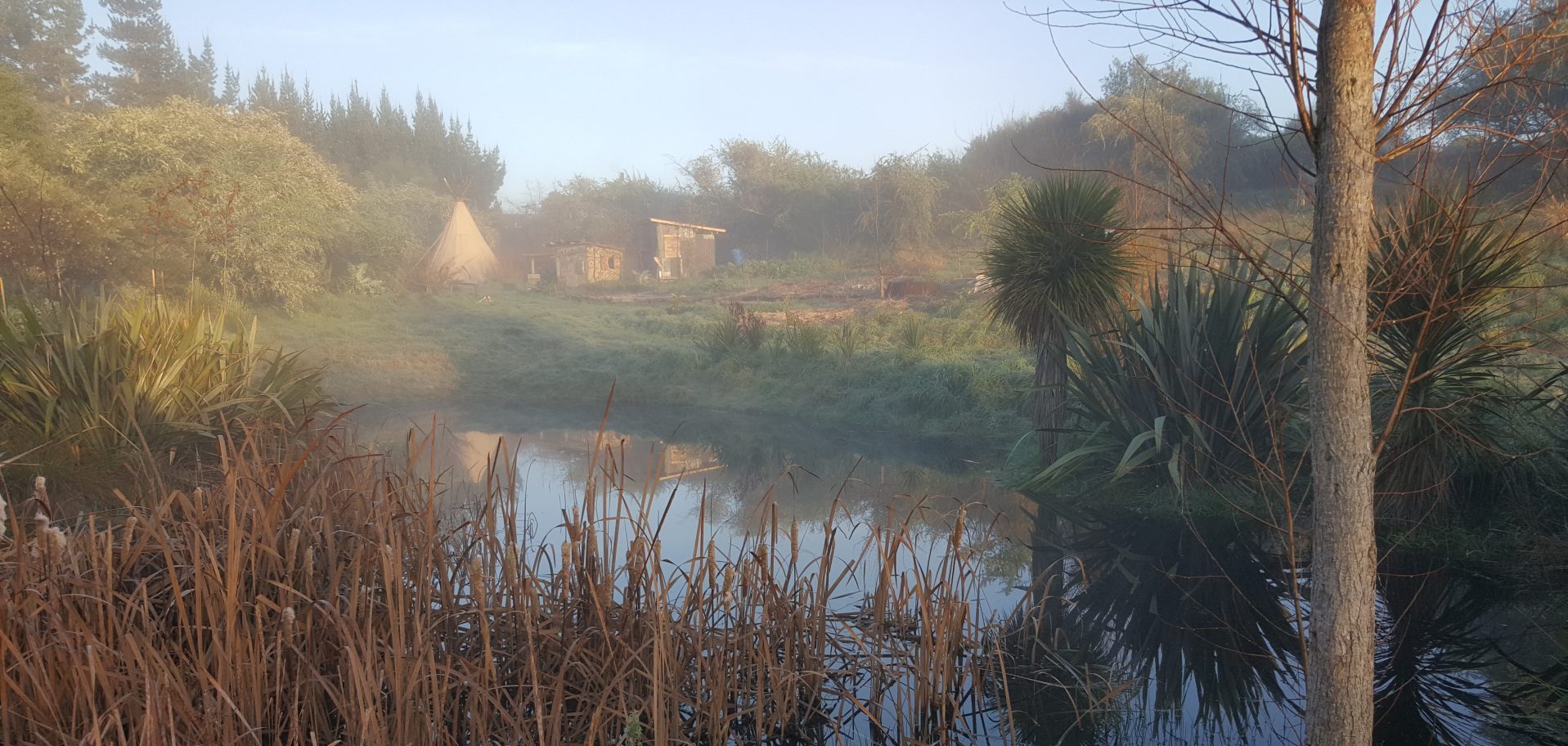 kahikatea-farm-food-forest-pond