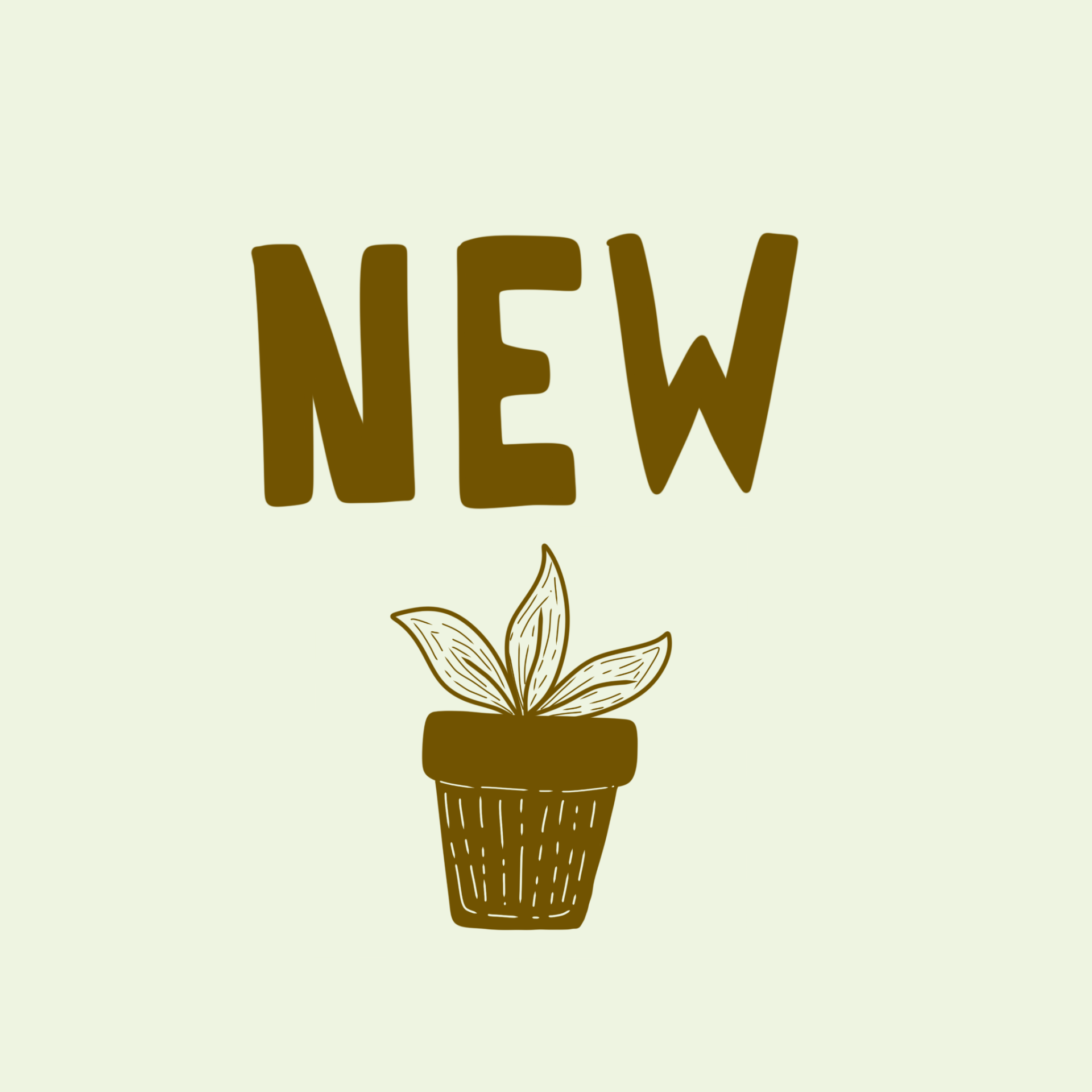 kahikatea-farm-nursery-new-plants