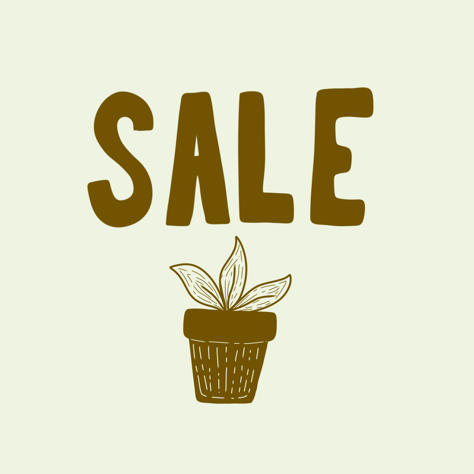 kahikatea-farm-sale-plants