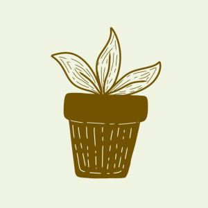 potted-plant-placeholder-kahikatea-farm