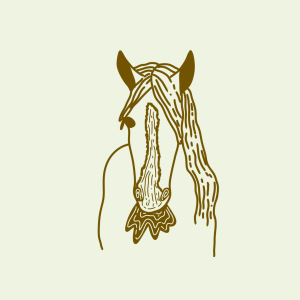 Horse Fodder/Horse Friendly