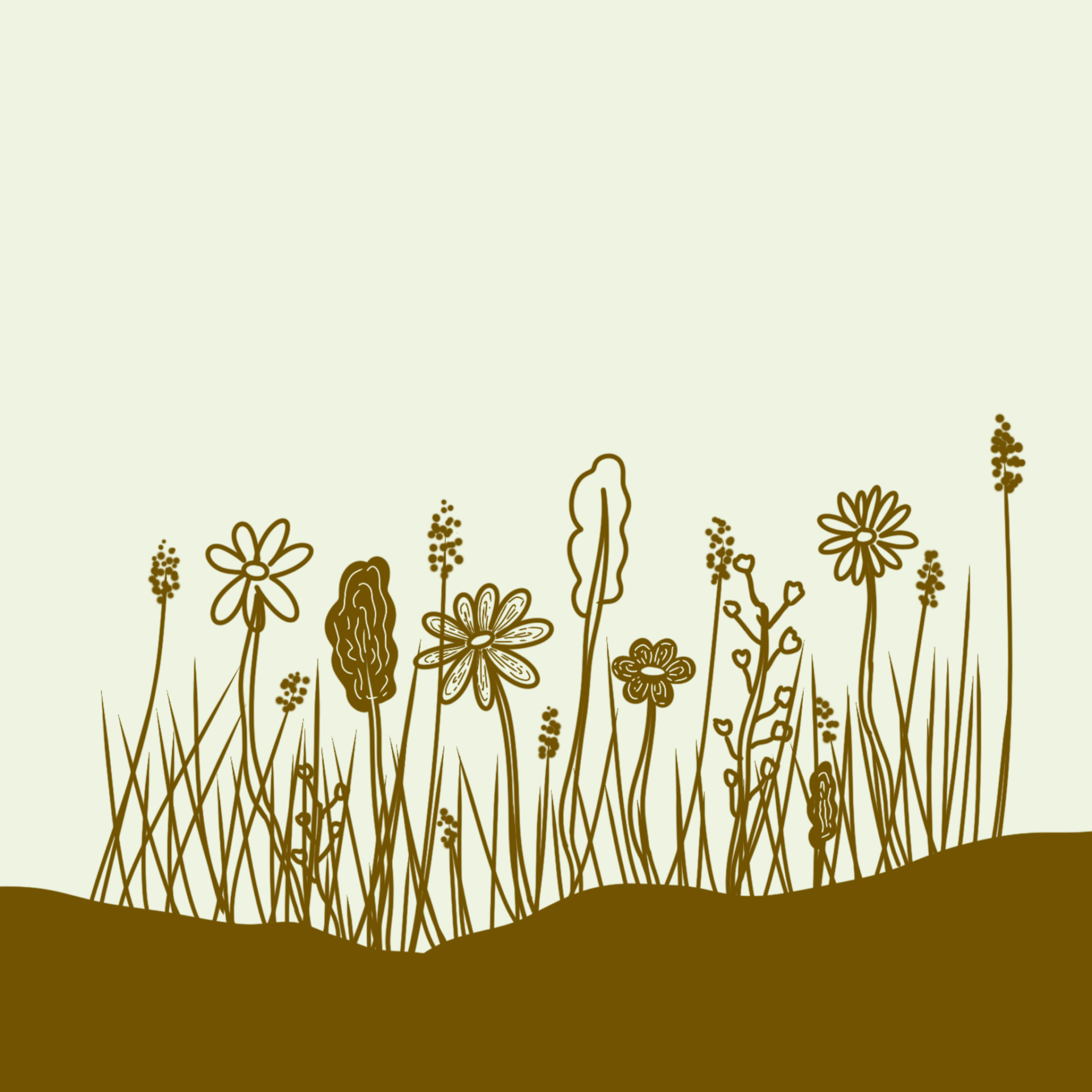 meadow-flowers-new-perennial-kahikatea-farm-nursery