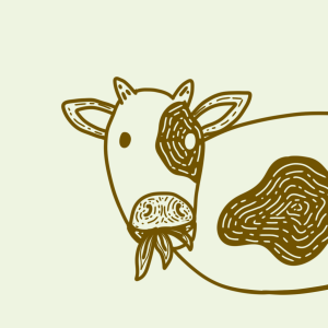 Cattle/Sheep/Goat Fodder