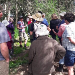 farm-tour-kahikatea-farm